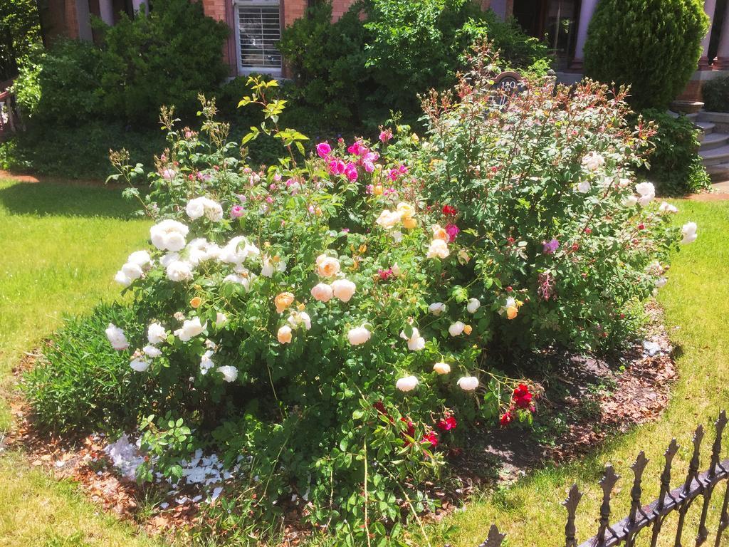 Historic Ellerbeck Mansion Bed & Breakfast Salt Lake City Bagian luar foto